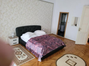 Отель Casa Anda  Сибиу